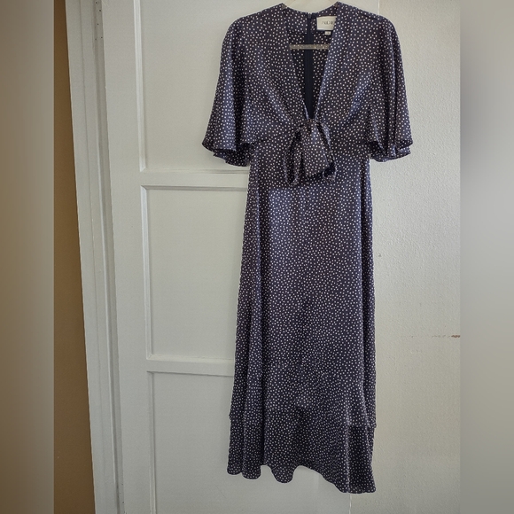 Alexis Kasany Polka Dot Dress - Picture 7 of 13